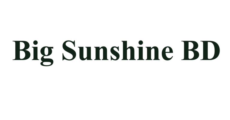 Big Sunshine (BD) job circular 2024