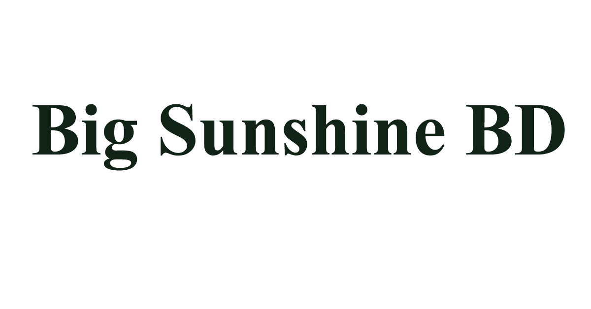 Big Sunshine (BD) job circular 2024