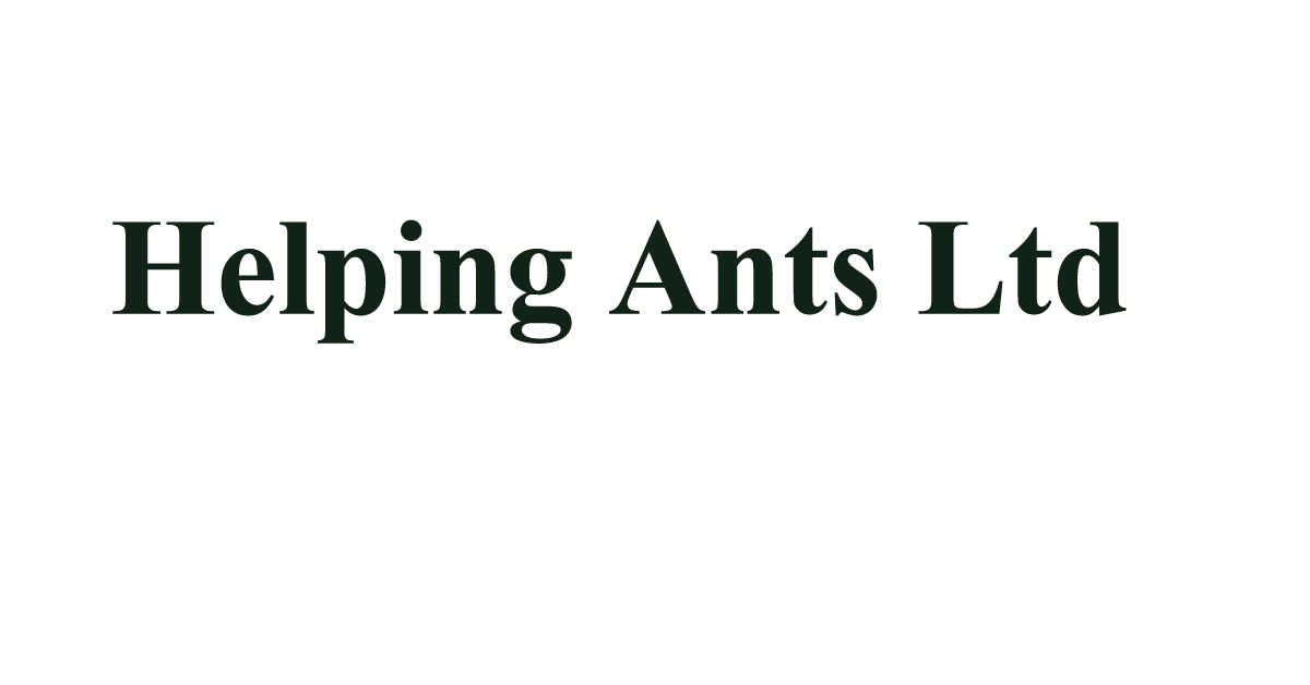 Helping Ants Ltd job circular 2024