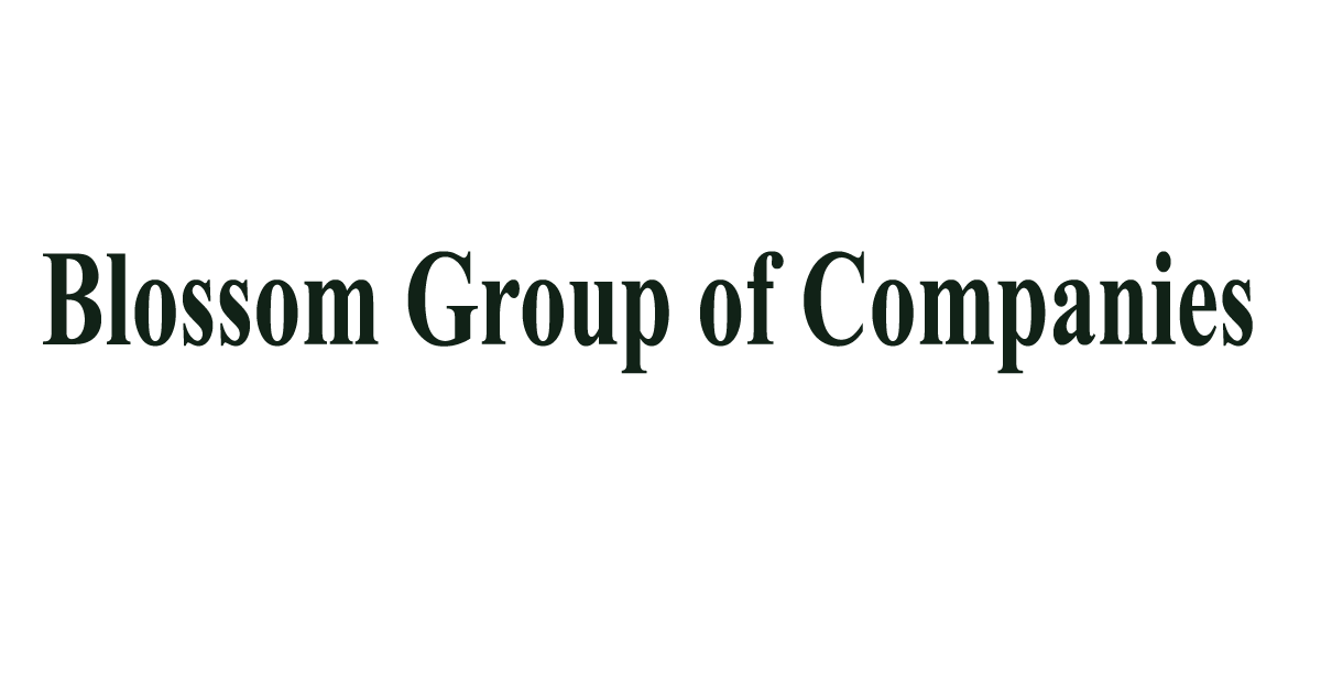 Blossom Group of Companies job circular 2024