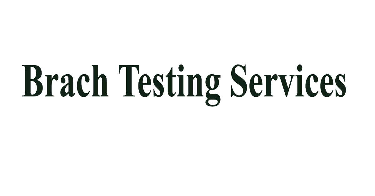 Brachi Testing Services Ltd job circular 2024