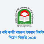 জাতীয় কবি কাজী নজরুল ইসলাম বিশ্ববিদ্যালয় নিয়োগ বিজ্ঞপ্তি ২০২৪